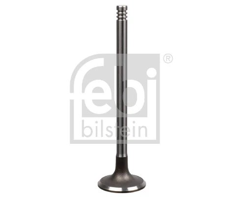 Intake Valve